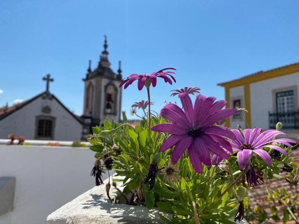 Casa Do Toupeiro Casa de hóspedes Óbidos